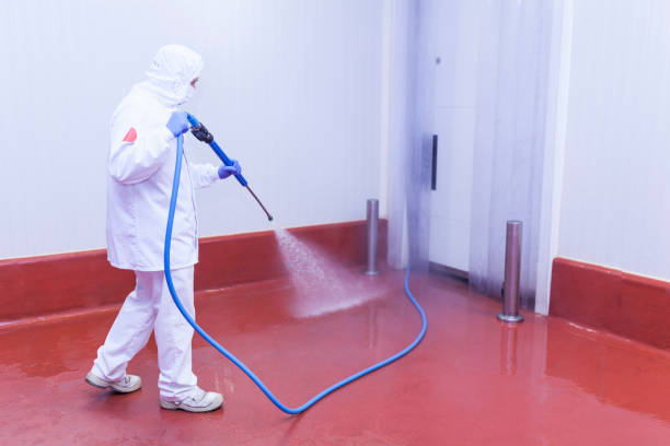 Best Sidewalk and Walkway Cleaning  in Richwood, NJ